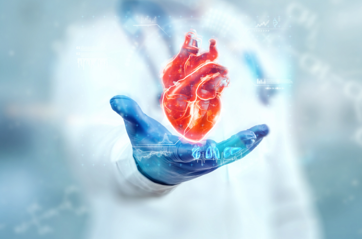 Cardiology