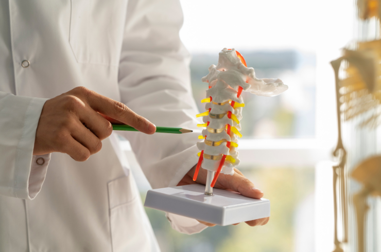 Orthopaedic
